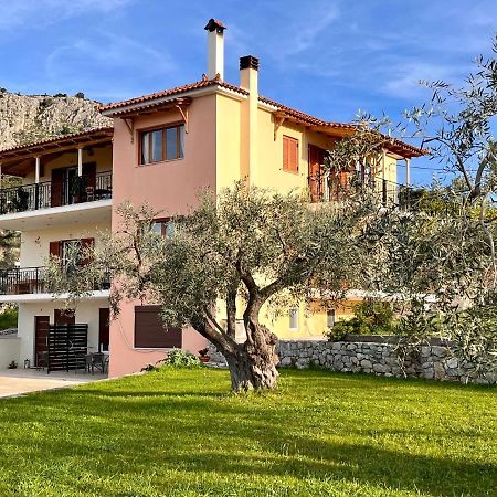 Ενtree Guest House Near Palamidi Castle ナフプリオ エクステリア 写真
