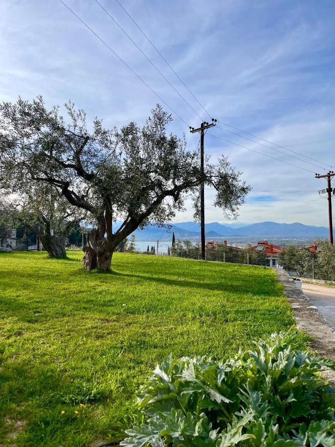 Ενtree Guest House Near Palamidi Castle ナフプリオ エクステリア 写真